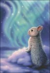 (image for) Small Aurora Bunny